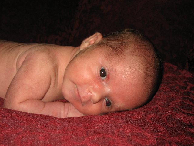 IMG_2074.JPG - Yes, of course, Mom had to take a nude photo.