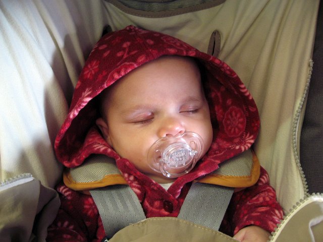 IMG_3035b.jpg - Catherine's first trip to Topsfield Fair.