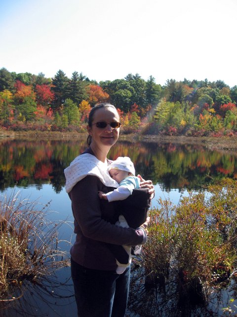 IMG_3101.JPG - Someone forgot to tell her that she actually needs to be awake to peek at leaves!