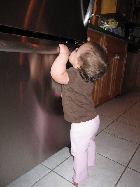 IMG_8313.JPG - So much for no fingerprints on the stainless steel appliances!