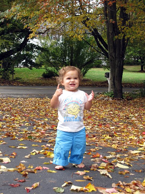 IMG_0405b.jpg - Catherine on another warm Fall day wondering why all the leaves that used to be in the trees are now on the driveway!!