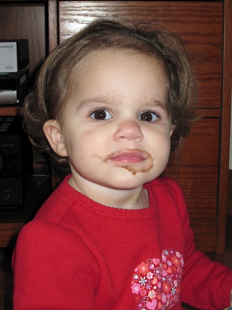 IMG_0737b.jpg - Any guesses where the chocolate pudding went??  (Sugar-free, of course.)