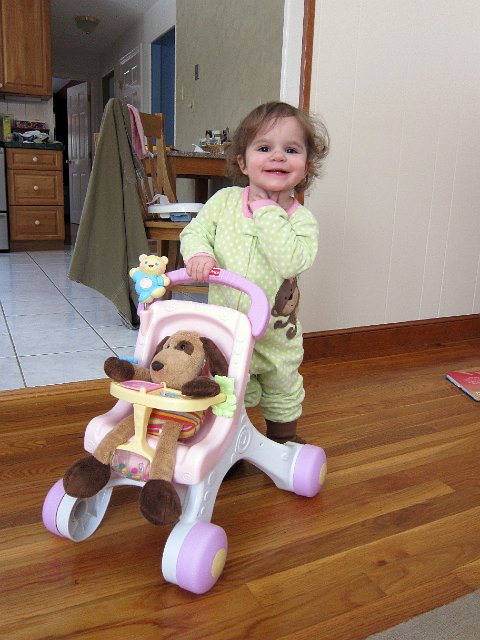 IMG_1003b.jpg - Charlie is getting a ride in Catherine's baby stroller (one of her Christmas gifts).