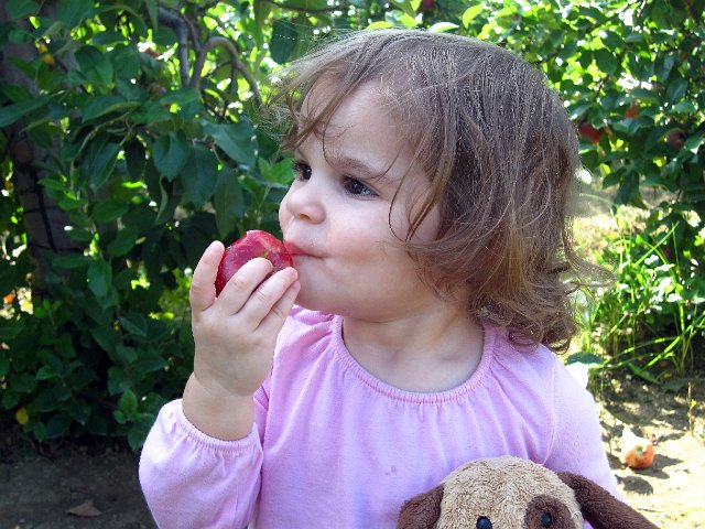 IMG_1502b.jpg - Taste-testing is allowed, right?