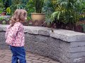 IMG_2910b