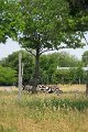 IMG_3633b