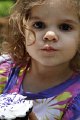 IMG_MJH_20110604_1517