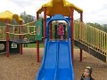IMG_9335