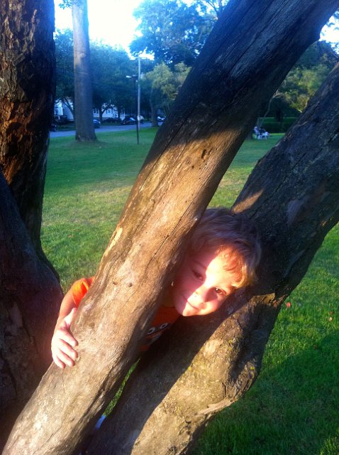 IMG_0830.jpg - The end to our weekly picnics on the Andover Common is a sad sign that summer is winding down.