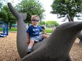IMG_0818