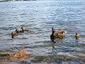 IMG_0838