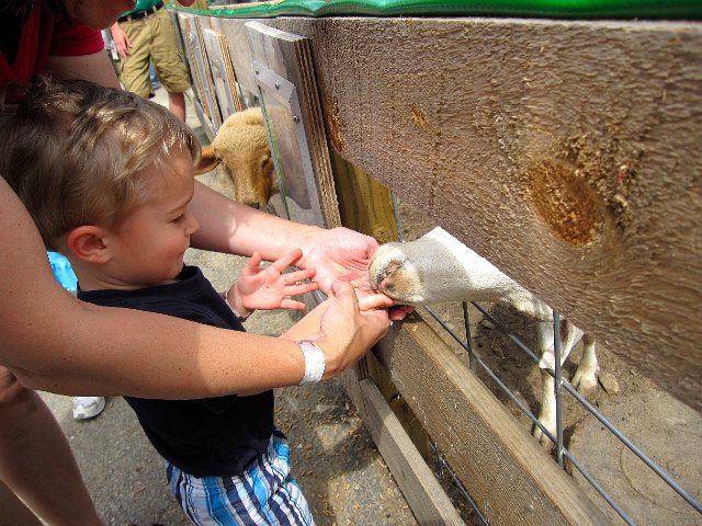 IMG_0265.jpg
