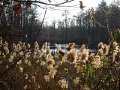 IMG_2913