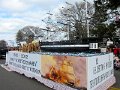 IMG_5852