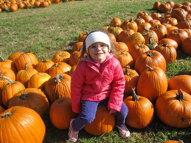 IMG_2451.jpg - Our pumpkins among the pumpkins.