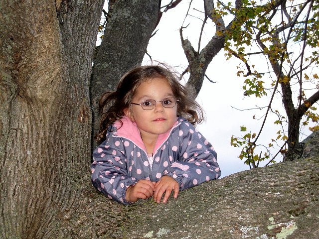 IMG_2632.jpg - Catherine was on a mission for a tree to climb.