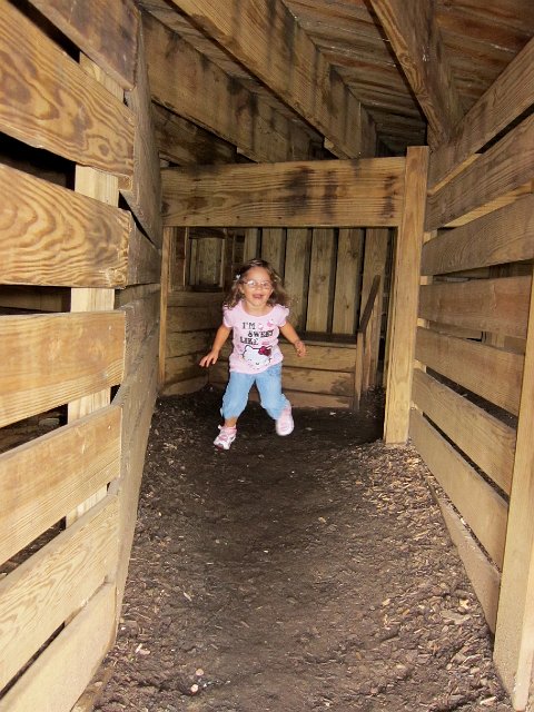 IMG_5491.jpg - Can't say we've been to a playground with a cattle chute before!