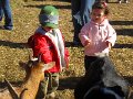 IMG_2411