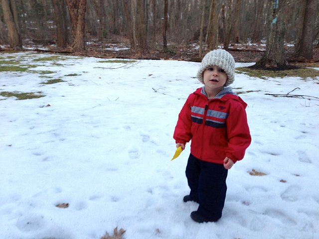 IMG_3098.jpg - Nathan loves to shovel!  Can't wait to get them their sandbox this year.