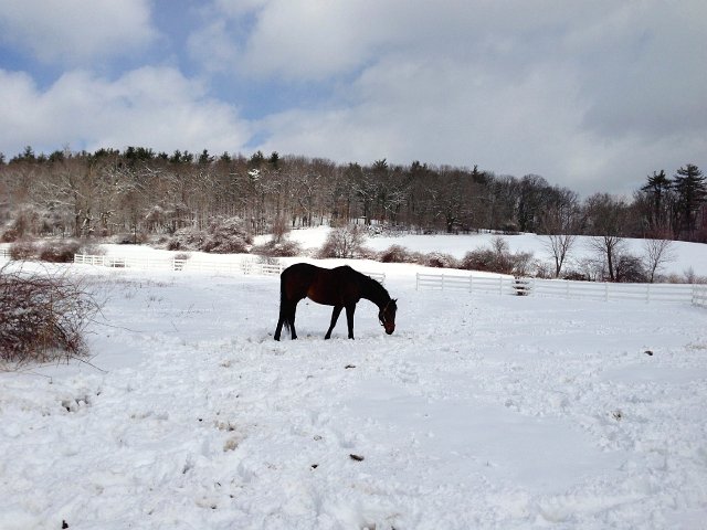 IMG_3159.jpg - At least the snow is still creating some gorgeous scenes for all to enjoy.