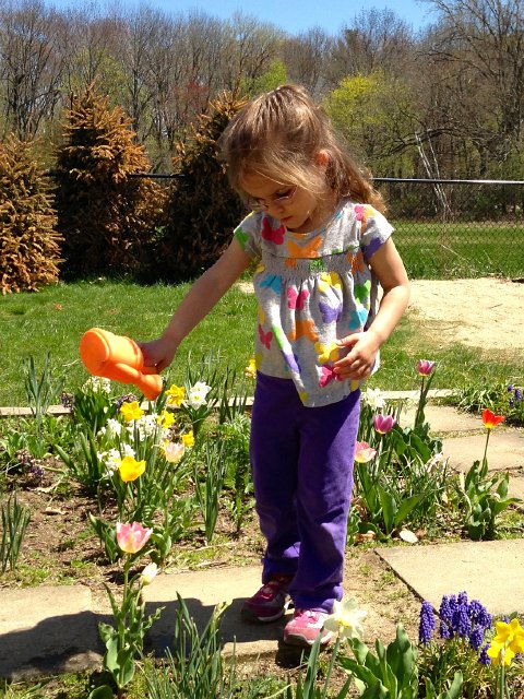 IMG_3323.jpg - Well, it's Mommy's last time to do co-op duty while Catie Ann is a student at preschool.  This photo brings back so many memories of her first few days of school here.  She found comfort in taking care of that garden during dropoff.