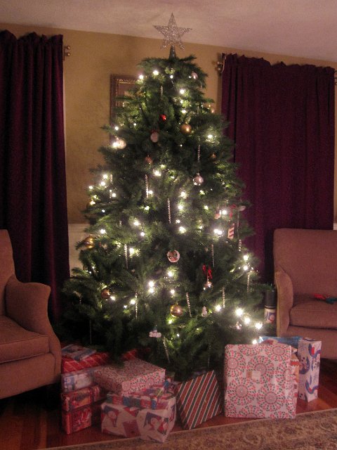 IMG_2308b.jpg -                                