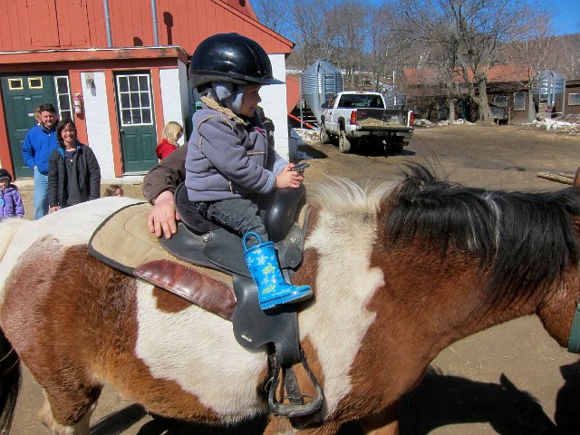 IMG_6973.jpg - Giddy-up, cowboy!