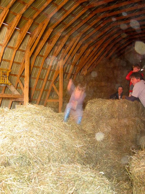 IMG_7021.jpg - Oh my, one of the last activities before returning home .. hay jumping!  The little grey blur is Nathan in action.