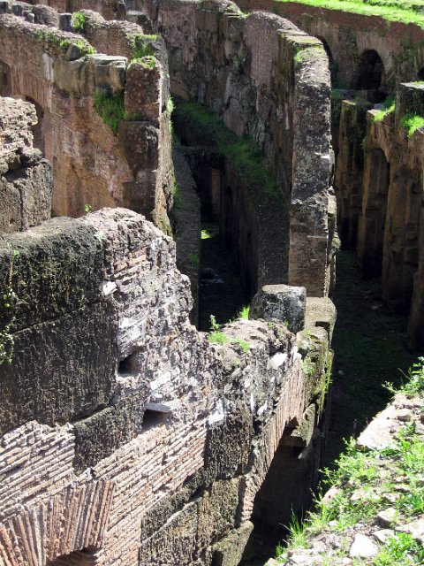 Colosseum-40.JPG