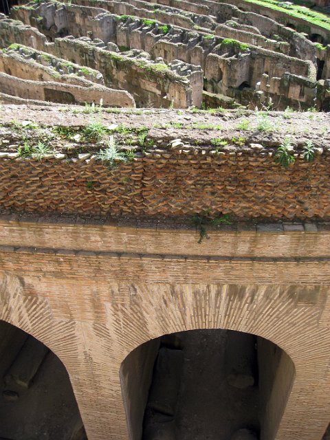 Colosseum-59.JPG