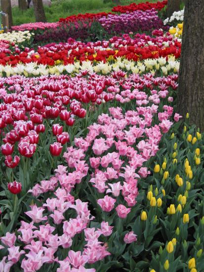 floriade18.jpg