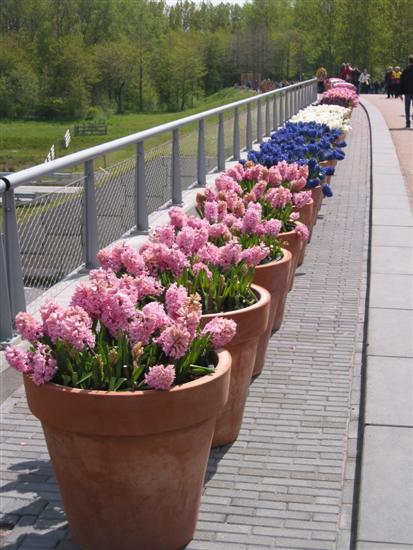 floriade19.jpg