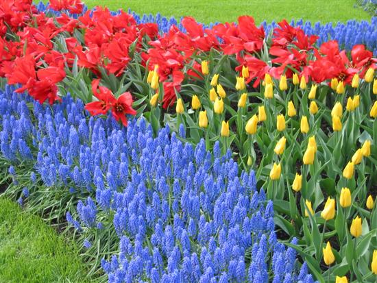 keukenhof15.jpg