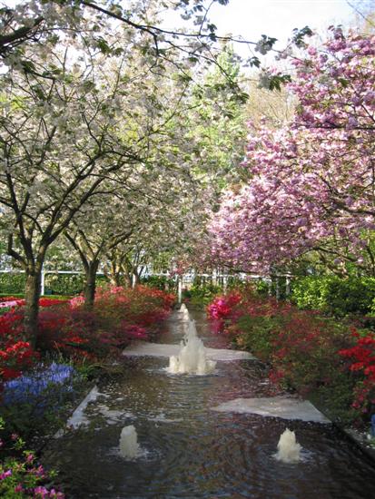 keukenhof20.jpg