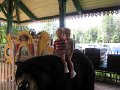 IMG_1795
