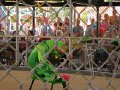 IMG_4792