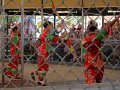 IMG_4805