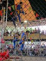 IMG_4809