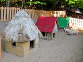 IMG_4974