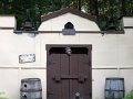 IMG_5134