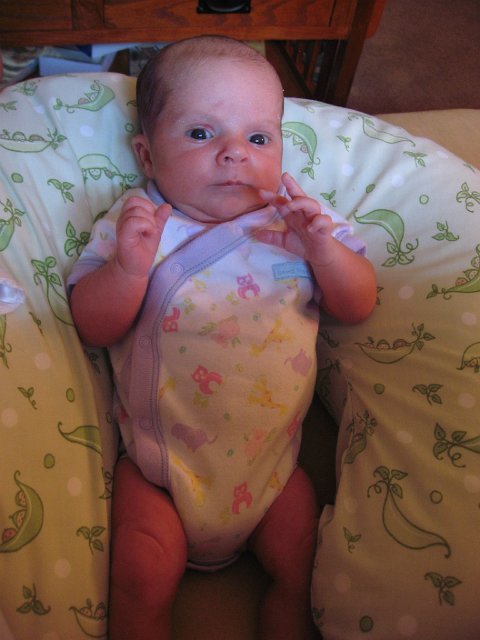 IMG_2157.JPG - She's starting to fill out some of her new clothes ...