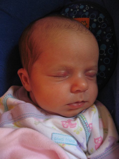 IMG_2169.JPG - Our balding (and sleeping) beauty.