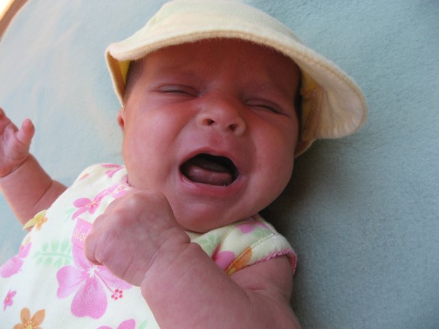 IMG_2292.JPG - We're guessing 'hats' are NOT one of Catherine's favorite things ...