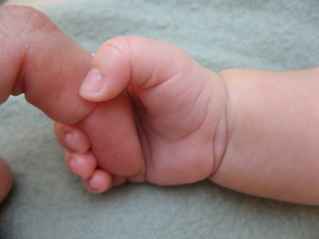IMG_2320.JPG - Cherishing every tiny detail of our little one ...