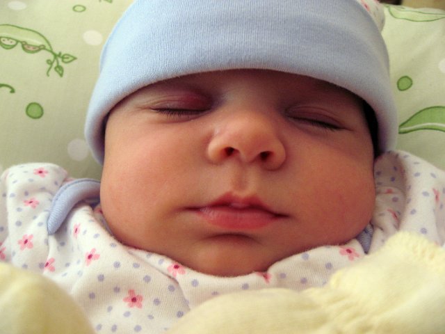 IMG_2553b.jpg - Do you think she has any idea how cute she is?!?