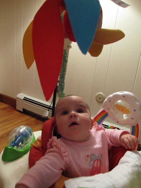 IMG_3984.JPG - Catherine checking out the parrot of her Rainforest Jumperoo.