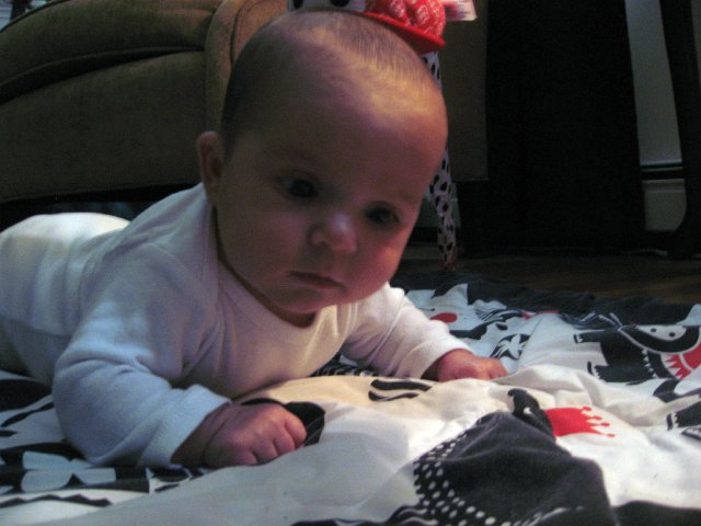 IMG_2762b.jpg - Practicing her head lifts and strengthening those neck and arm muscles.