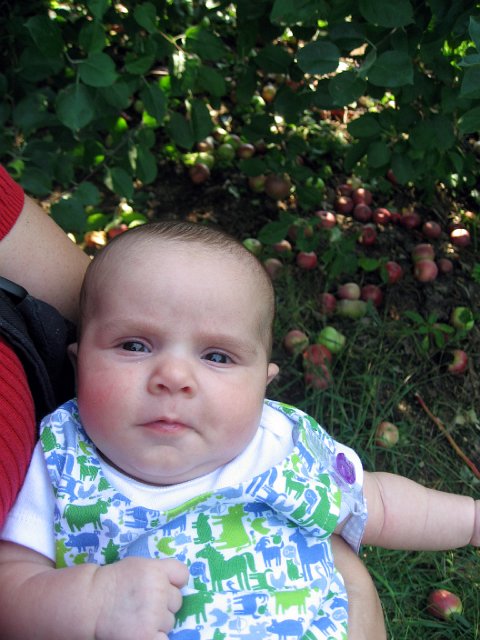 IMG_2910b.jpg