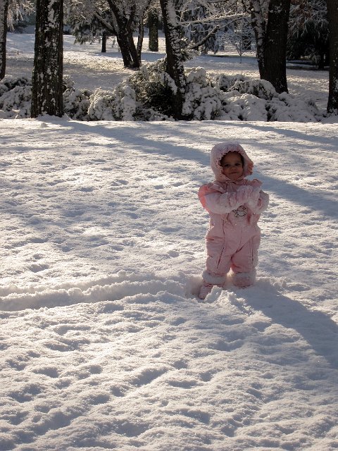 IMG_0549b.jpg - Our first snow this winter ...