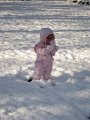 IMG_0543b